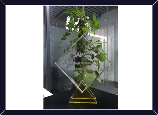 SAP包裝行業最佳解決方案